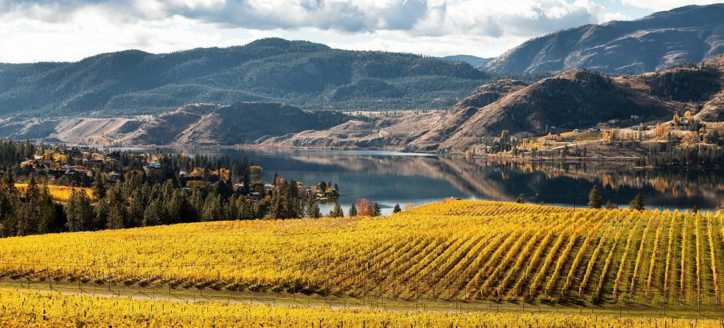 Định cư Canada BC PNP doanh nhân năm 2020