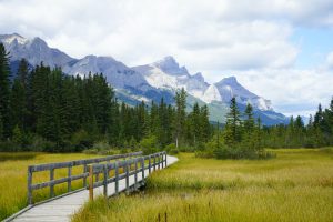 Định cư Canada