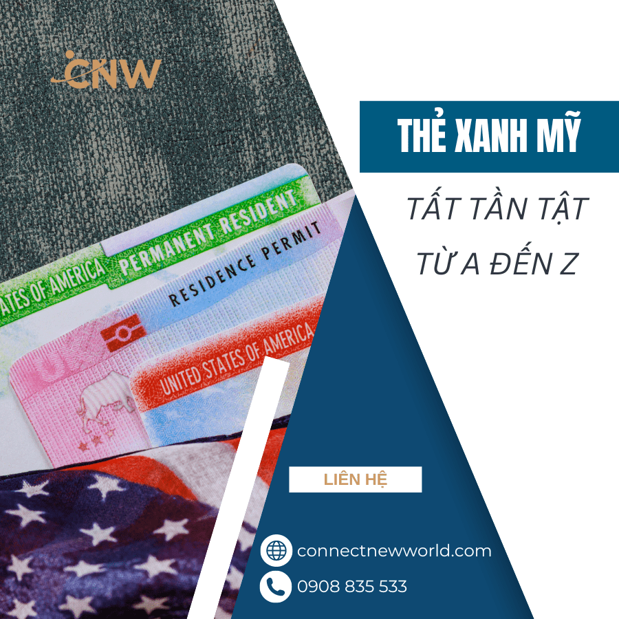 the xanh my la gi