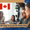 CÁCH CHỌN DỰ ÁN STARTUP VISA CANADA ĐỂ TĂNG TÝ LỆ LẤY PR THÀNH CÔNG