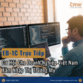 Chương Trình EB-1C Trực Tiếp: Cơ Hội Chiến Lược Cho Doanh Nghiệp Việt Nam Xâm Nhập Thị Trường Mỹ