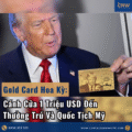 Gold Card Hoa Kỳ: Cánh Cửa 1 Triệu USD Đến Thường Trú Và Quốc Tịch Mỹ