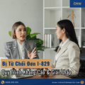 Bị Từ Chối Đơn I-829: Quy Trình Kháng Cáo & Giải Pháp Toàn Diện