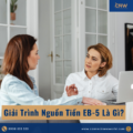 Giải Trình Nguồn Tiền EB-5: Vì Sao Hồ Sơ Nhà Đầu Tư Việt Nam Thường Bị Yêu Cầu Bổ Sung?