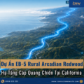 Dự Án EB-5 Rural Arcadian Redwood: Hạ Tầng Cáp Quang Chiến Lược Tại California