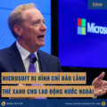 Microsoft Bị Đình Chỉ Bảo Lãnh Thẻ Xanh Cho Lao Động Nước Ngoài